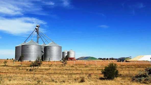 Rural scene of field in Carrathool shire