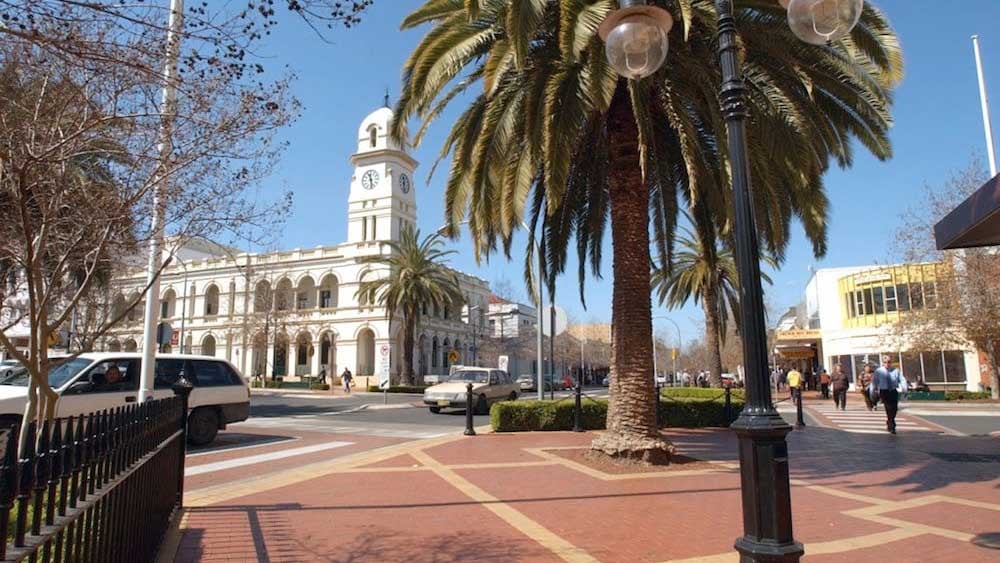 Tamworth city centre with big palm tree