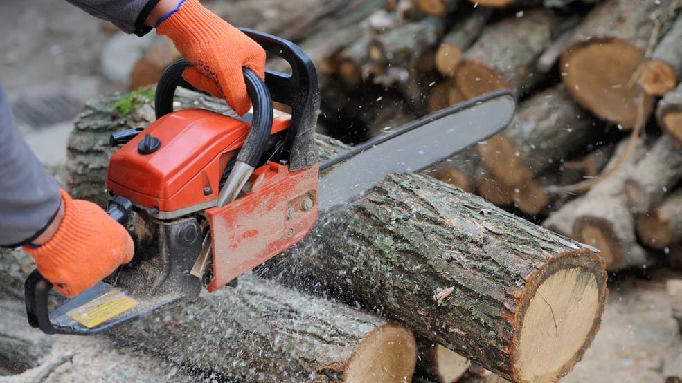 Chainsaw cutting wood