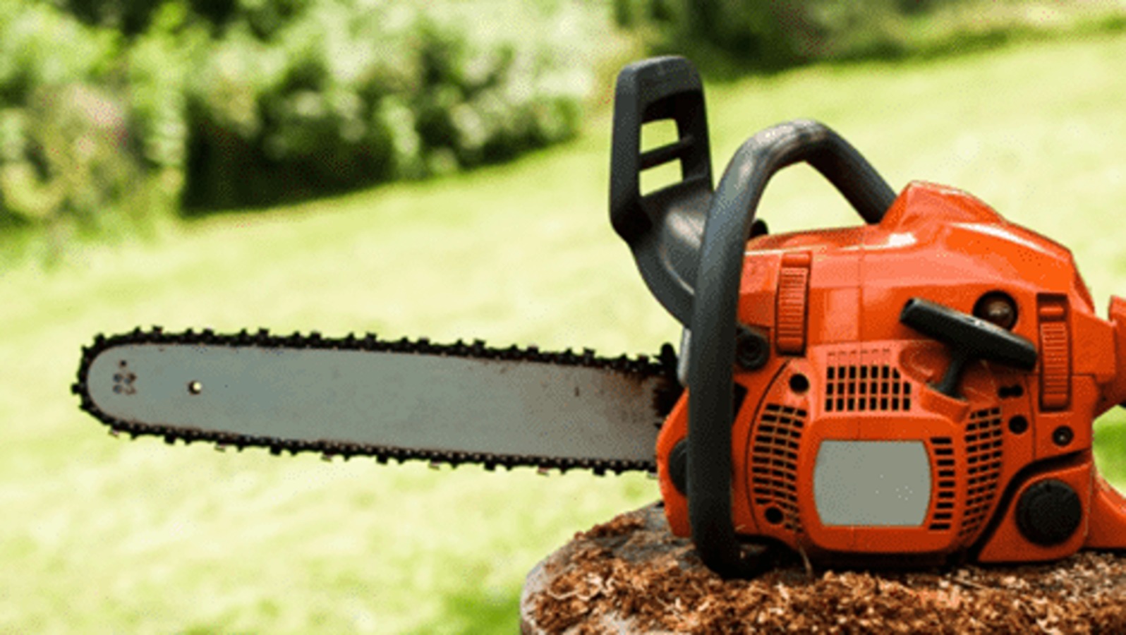 Fatal chainsaw incident reminder to ensure safe operation