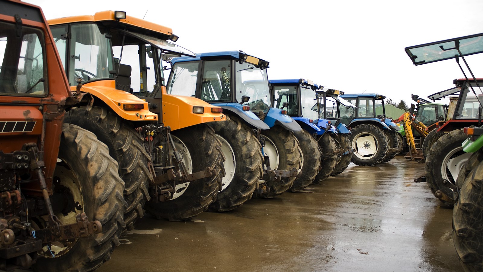 How's your fleet doing? Can Plant Assessor help you?